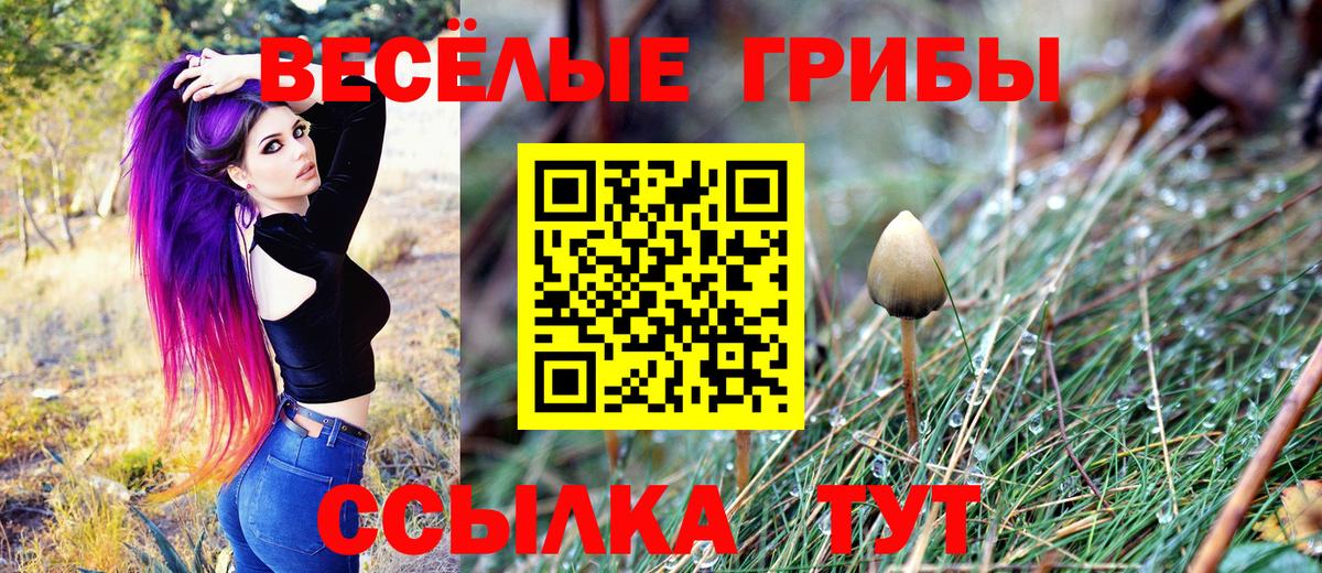 Похвистнево  Галлюциногенные грибы мицелий  Вход с VPN 