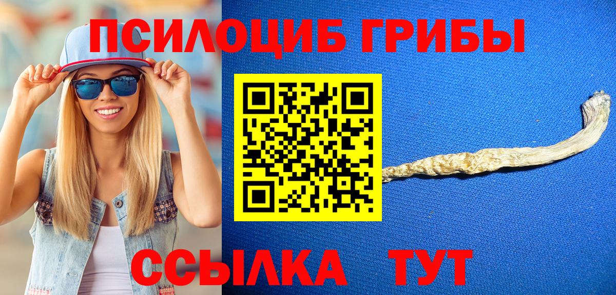 Галлюциногенные грибы GOLDEN TEACHER Похвистнево